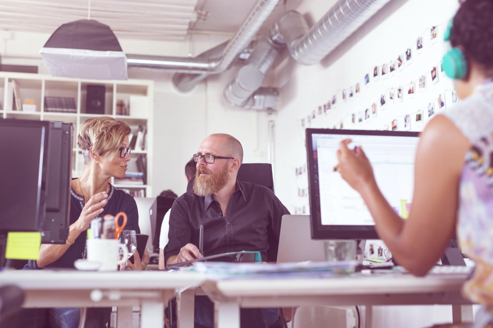 Pelivorantix içerik optimizasyonu pratik çalışma